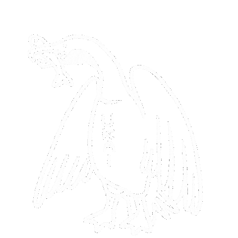 鳥 Cormorant Sticker