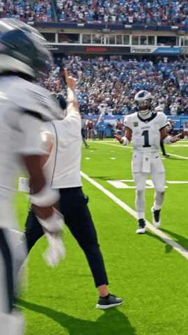 Philadelphia Eagles Go Birds GIF by Stock King Options