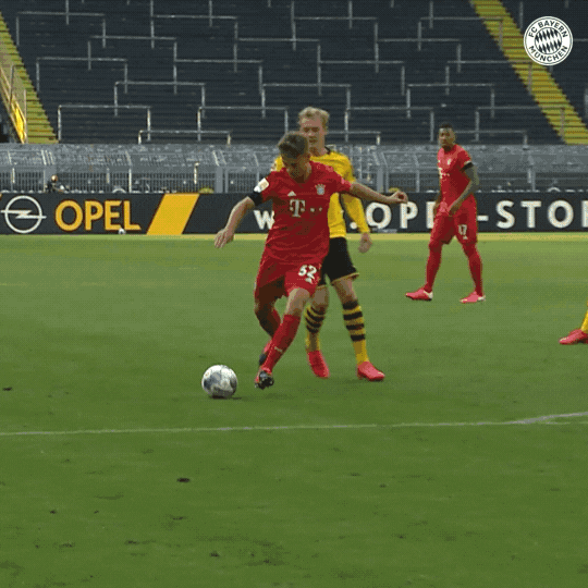 giphy.gif