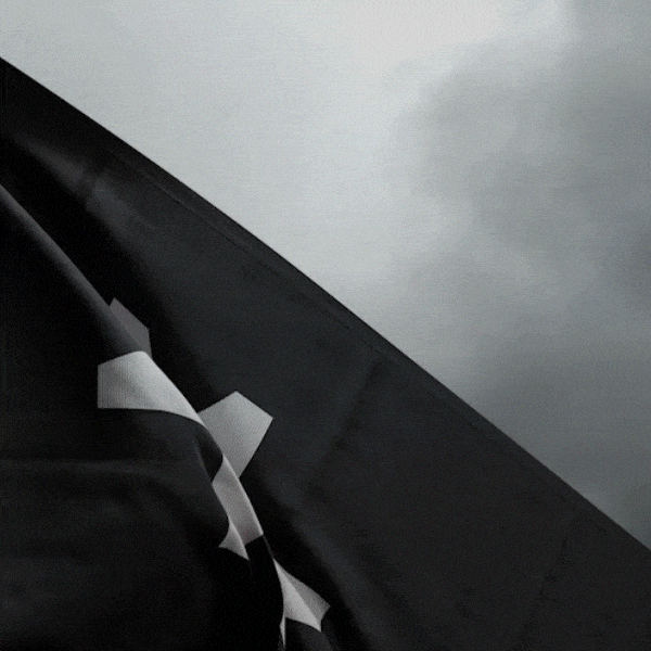 Mooch Creative Studio GIF