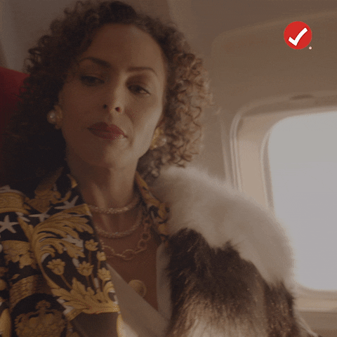 turbotaxcanada cheers flying champagne glass GIF