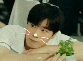 Kdrama GIF