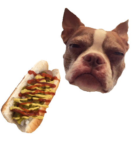Vegan Stpete Sticker by Nah Dogs