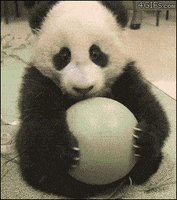 Ball Panda GIF
