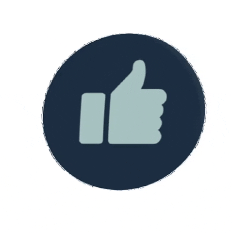 mysocialife GIF