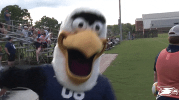 Soccer Eagles GIF by Georgia Southern Athletics