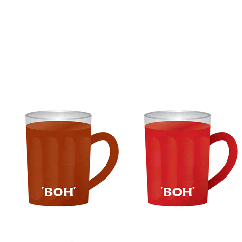 tea time break GIF by BOH Tea
