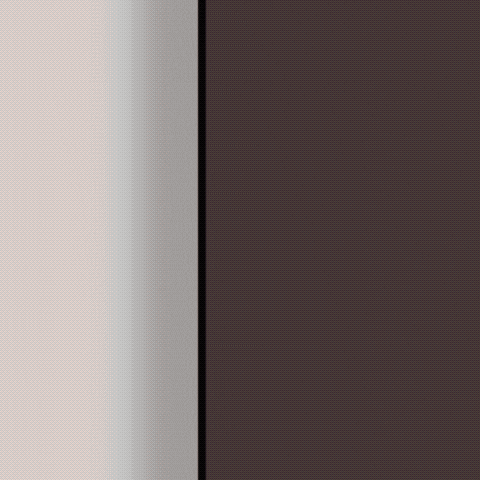 Wall Looking GIF