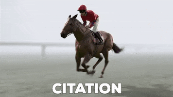 Horse Racing Citation GIF by Kentucky Derby