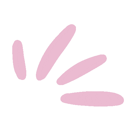 Pink Effects Sticker