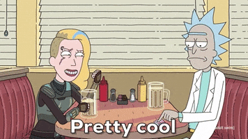 Season 4 Episode 10 GIF by Rick and Morty
