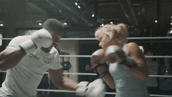 BulkOfficial knockout motivation boxing punch GIF