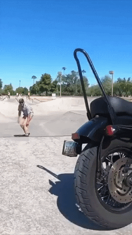 Skate Pro Harley Davidson GIF by Concrete Surfers Motorcycle Dudes - CSMD