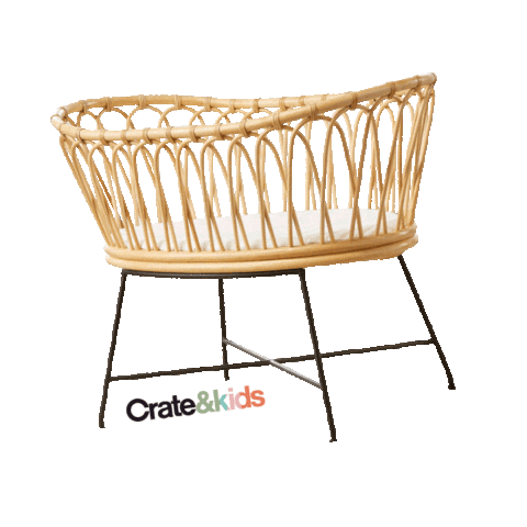 crate and barrel rattan bassinet