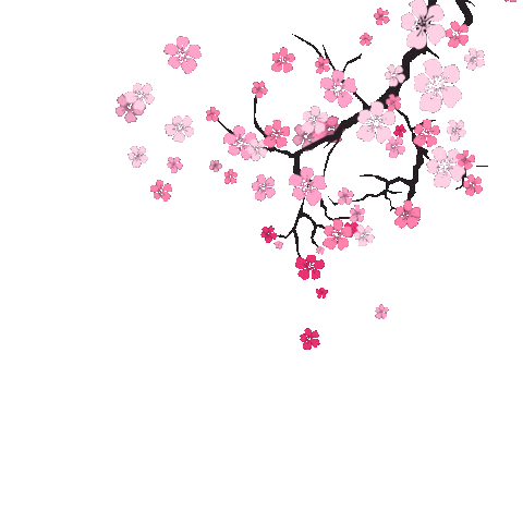 Cherry Blossom Travel Sticker by KTO Indonesia