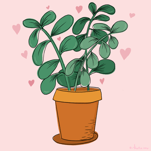 Ты любишь растения