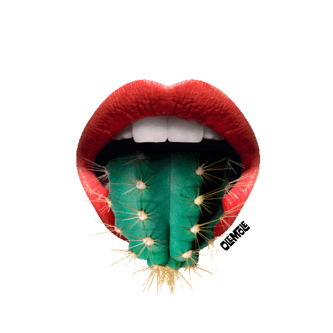 Burritos Olemole Sticker