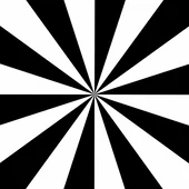 Black And White GIF by Feliks Tomasz Konczakowski