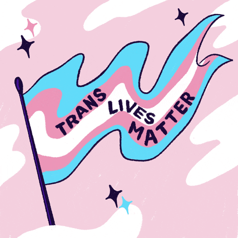 Trans Lives Matter GIFs - Get the best GIF on GIPHY
