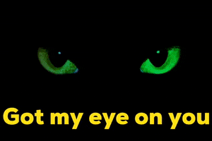 i see you looking at you eye on you cockrill GIF