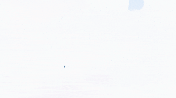 Rightsinfo GIF