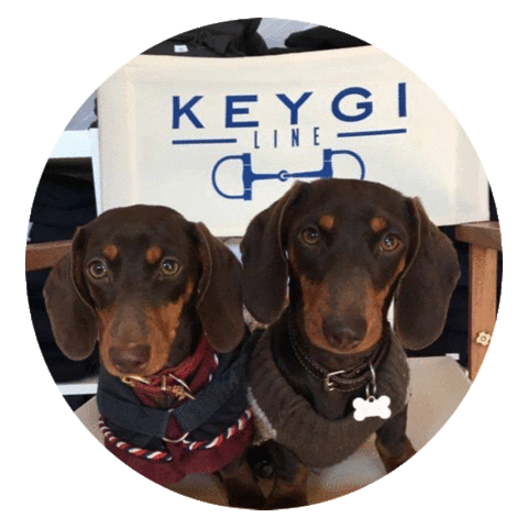 KEYGI_LINE Sticker