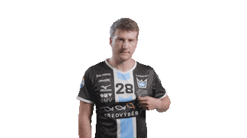 Florbal Mladá Boleslav Sticker