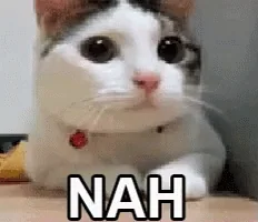 Cat No GIF by MOODMAN