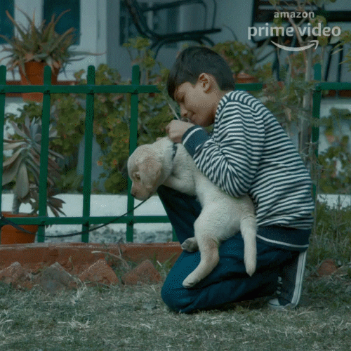 Dog Puppy GIF by primevideoin