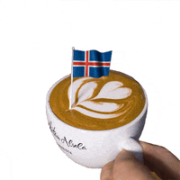 Coffee Time Iceland GIF by Dritan Alsela Coffee