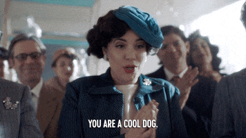 comedy central dog GIF by Drunk History