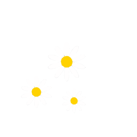 Nails Daisy Sticker