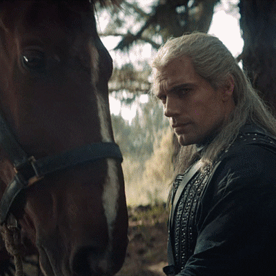 the witcher and his horse roach