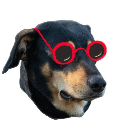 Dog Love Sticker by Buscamos Casita