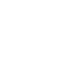 Wild Tomorrow Fund Sticker
