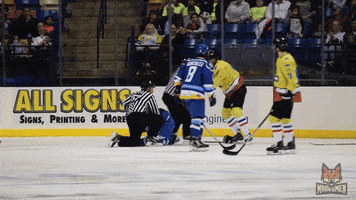 Fight Sarcastic Clap GIF by Fayetteville Marksmen
