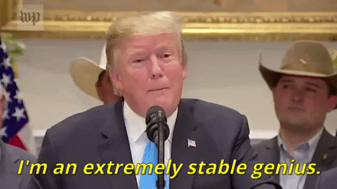 Giphy - Donald Trump Stable Genius GIF