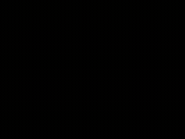 Memorial GIF