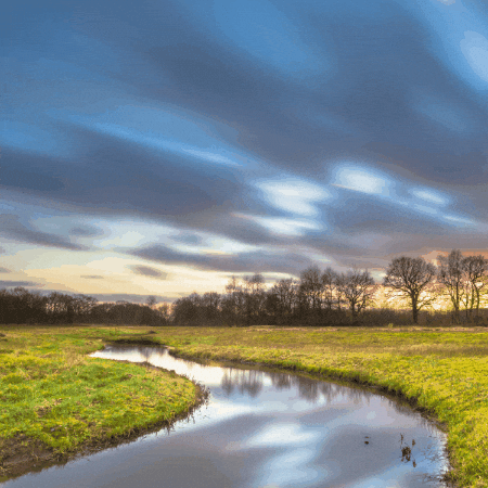 Mary Huntly GIF