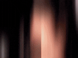 Misa Esports GIF