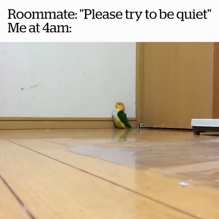 roommate tr GIF