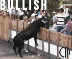 Cryptocurrency Bullrun GIF by :::Crypto Memes:::