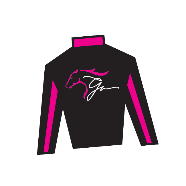 Horse Racing Sticker by Kentucky Derby