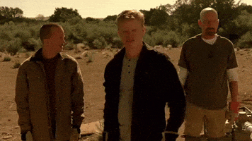 Breaking Bad Todd GIF