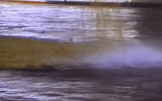 Water Vintage GIF by Texas Archive of the Moving Image