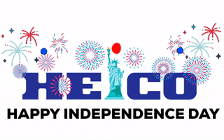 Independence GIF by HEICO