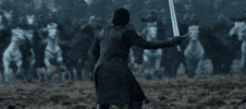 Game Of Thrones Fight GIF