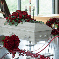 200.gif?cid=fc005b081b5af0abe3832cec74e48c965ddbee2f1613a931&rid=200.gif&ct=g