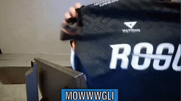 Rainbow Six Win GIF by Wolves Esports