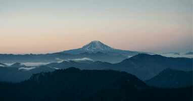 Joseph Greco GIF